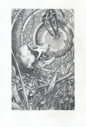 Card image top