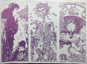 Card image top