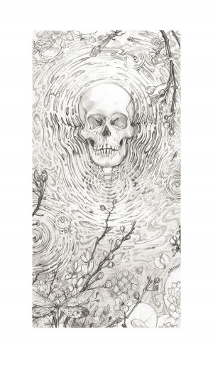 Card image top