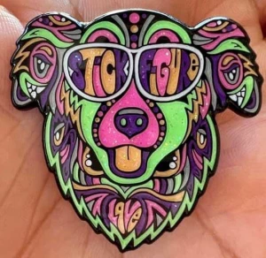 Card image top