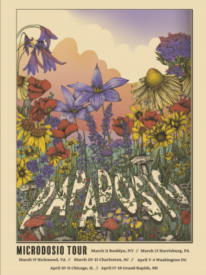 Card image top