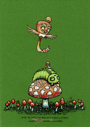 Card image top