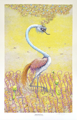 Card image top