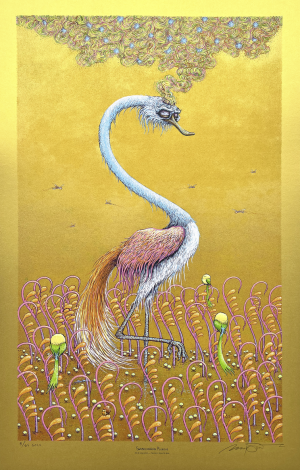 Card image top