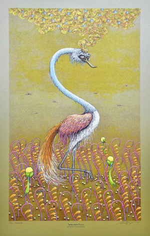 Card image top