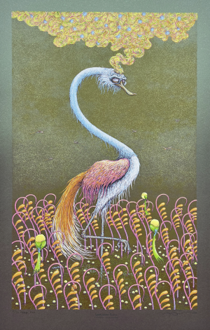 Card image top