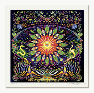 Card image top