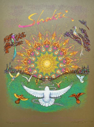 Card image top