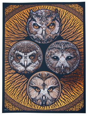 Card image top