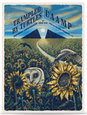 Card image top