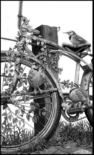 Card image top