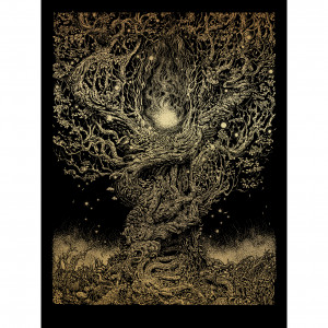 Card image top