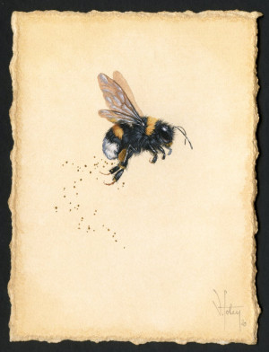 Card image top
