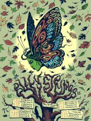 Billy Strings Fall Tour 24 Donders