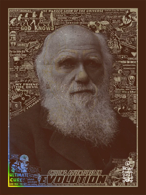 Card image top