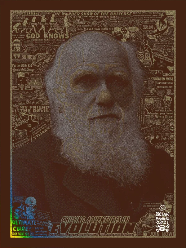 Card image top