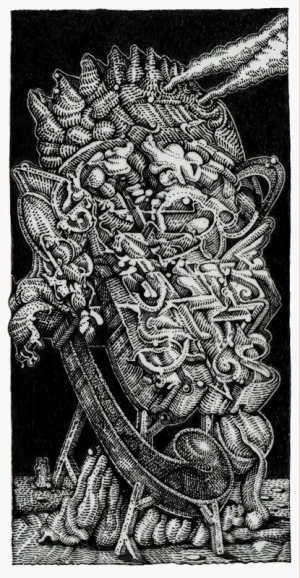 Card image top