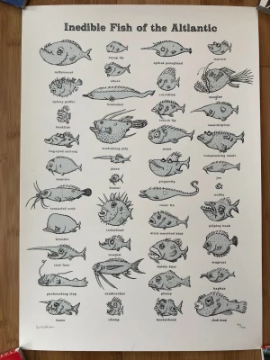 Inedible Fish of the Altlantic 19 Welker