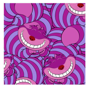 Card image top