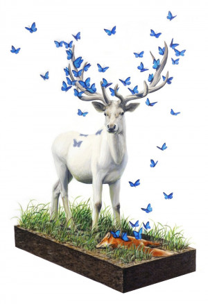 Card image top