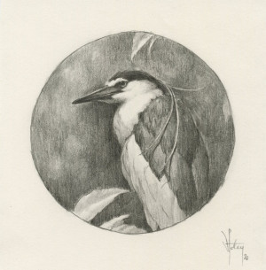 Card image top