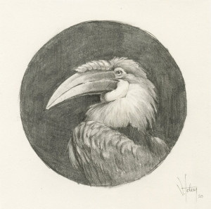 Card image top