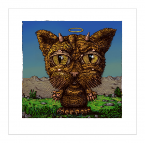 Card image top