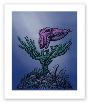 The Cuttlefish 20 Welker