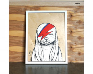Card image top