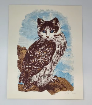 Card image top
