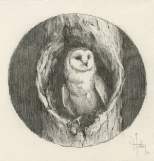 Card image top