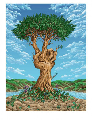 Card image top
