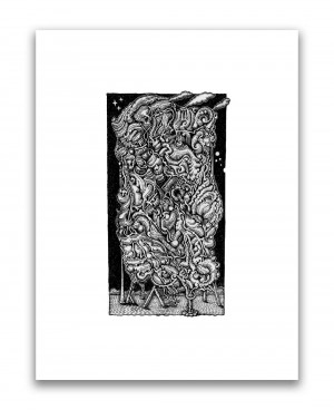 Card image top