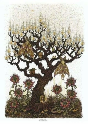 Card image top
