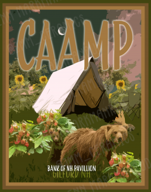 Card image top