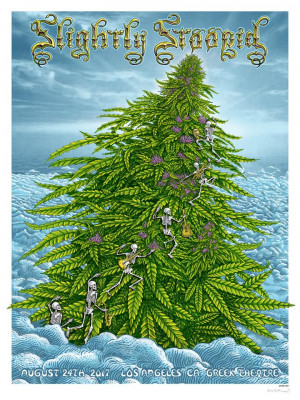 Card image top