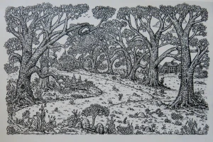 Card image top