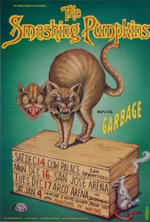 Card image top