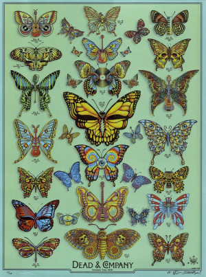 Card image top