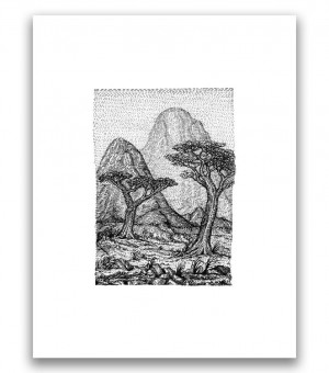 Card image top