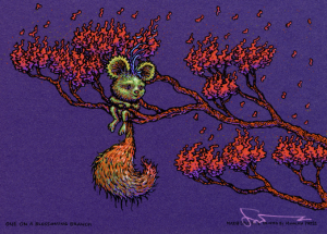 Card image top