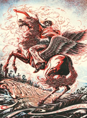 Card image top