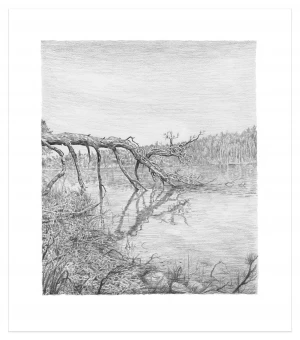 Card image top