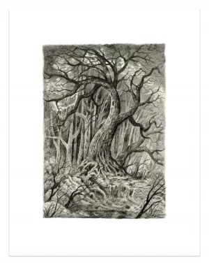 Card image top