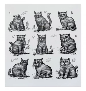 9 Cats 26 Welker