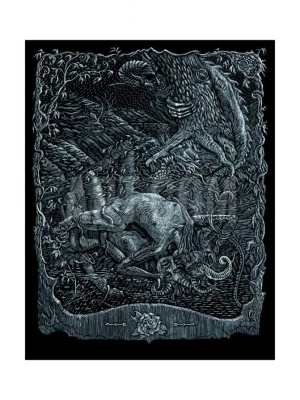 Card image top