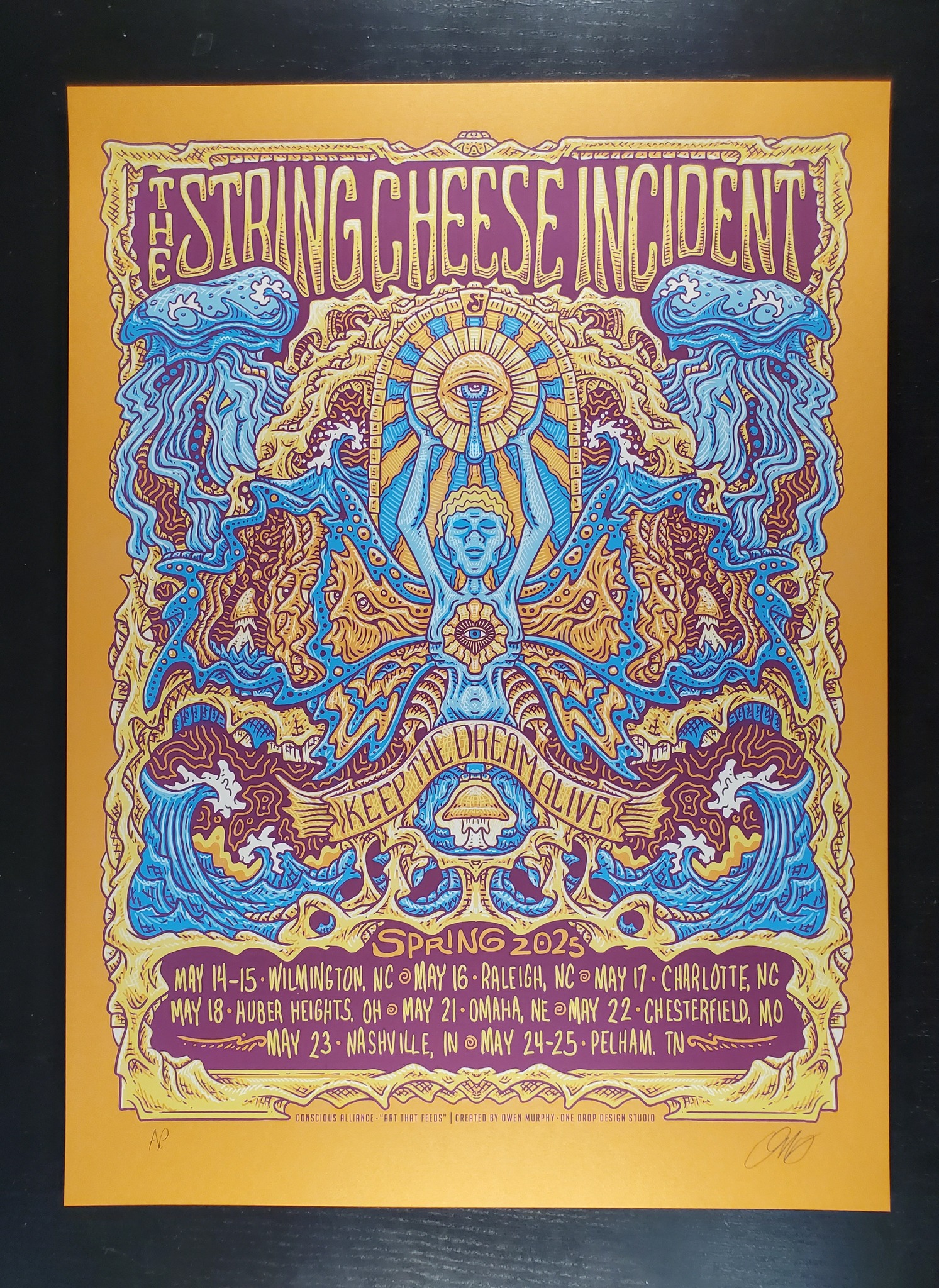 The String Cheese Incident Band The String Cheese Incident Spring Tour 25 Murphy | PosterDrops.com